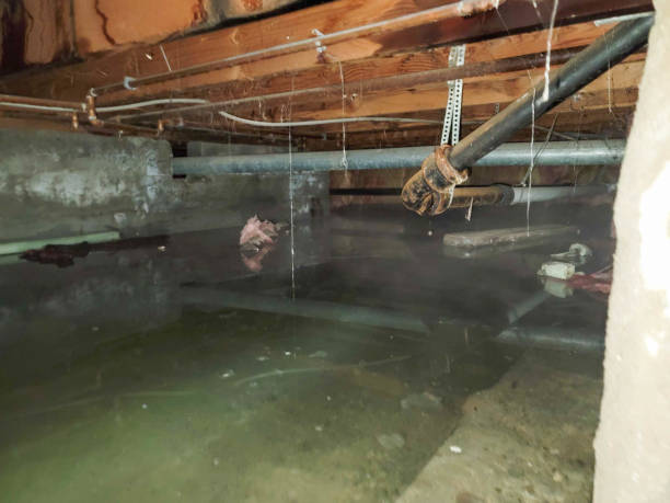 Best Flooded house restoration  in Tigard, OR