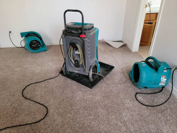 Water damage restoration insurance claims in Tigard, OR