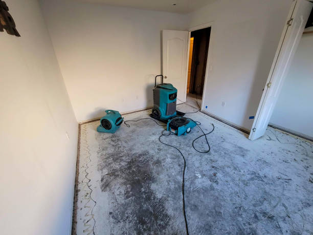 Best Flood damage cleanup  in Tigard, OR