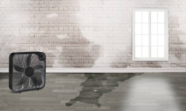 Best Residential water damage restoration  in Tigard, OR