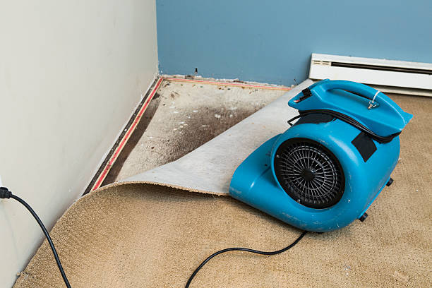Best Local water damage restoration  in Tigard, OR